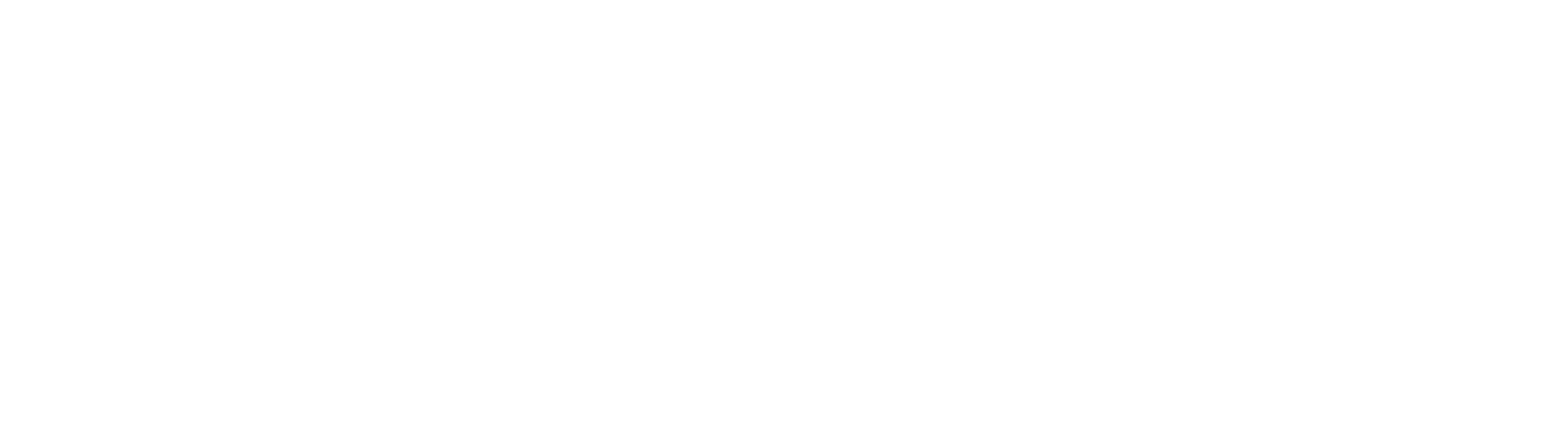 Fulton Homes_Linear Logo_White